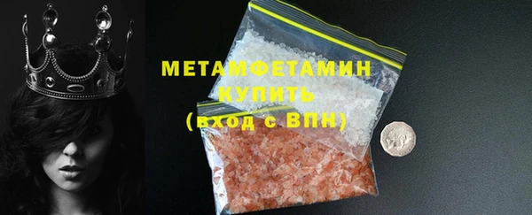 шишки Надым