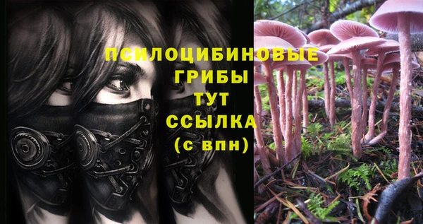 винт Наволоки