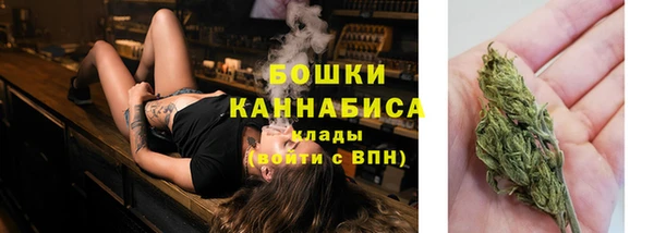 шишки Надым