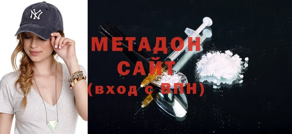 шишки Надым