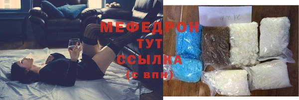 шишки Надым