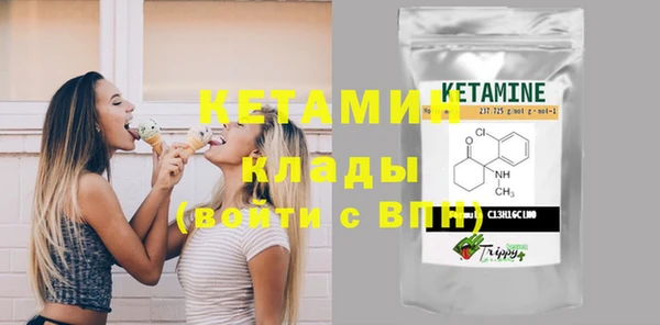 шишки Надым