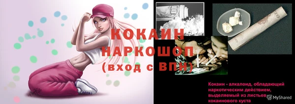 винт Наволоки