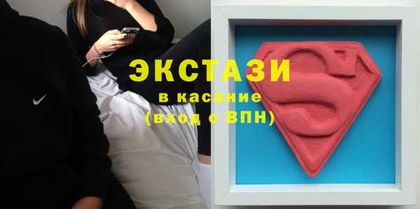 шишки Надым