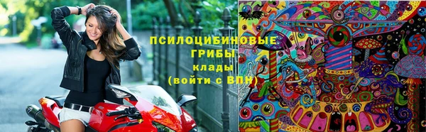 винт Наволоки