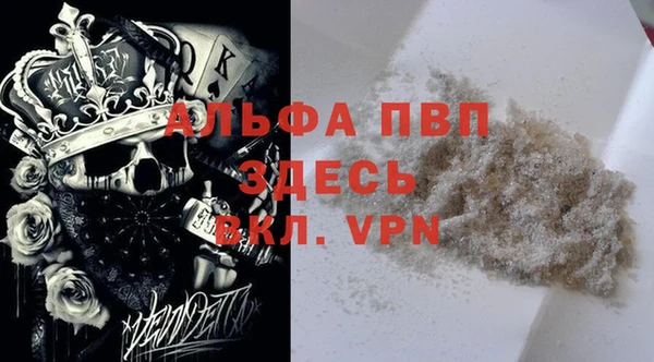 шишки Надым