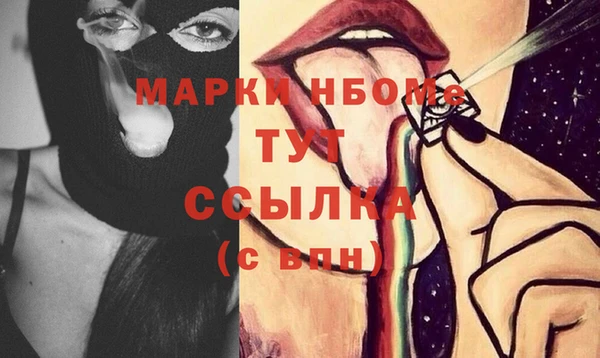 шишки Надым