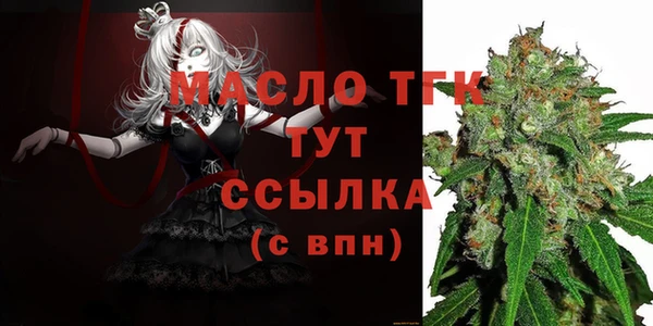 шишки Надым