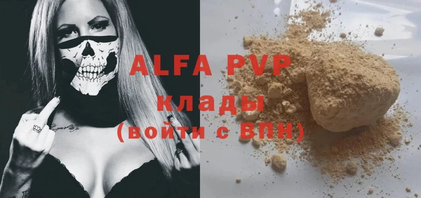шишки Надым