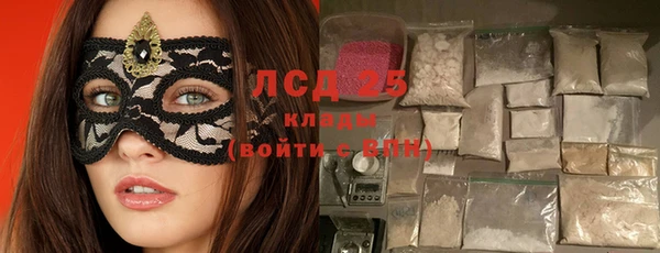 шишки Надым