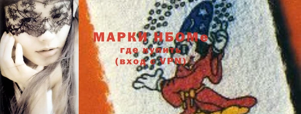 шишки Надым