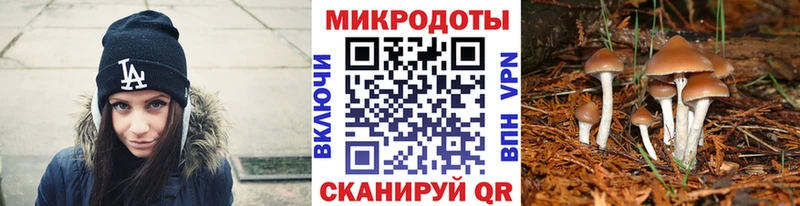 Псилоцибиновые грибы GOLDEN TEACHER  где купить наркотик  Ярцево 